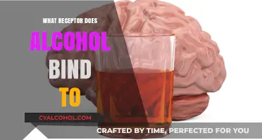 Unveiling the Science: Alcohol's Binding Receptor in the Brain Explained