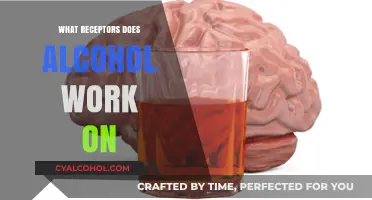 How Alcohol Interacts with Brain Receptors: A Comprehensive Guide