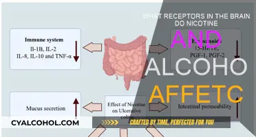 Brain Receptors: Nicotine, Alcohol, and Their Impact