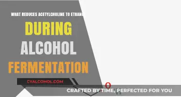 Ethanol Production: How Acetylcholine is Converted During Alcohol Fermentation