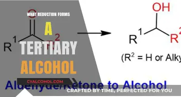 Understanding the Reduction Process That Forms Tertiary Alcohols