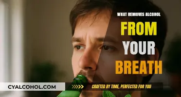 Effective Ways to Eliminate Alcohol Odor from Your Breath Fast