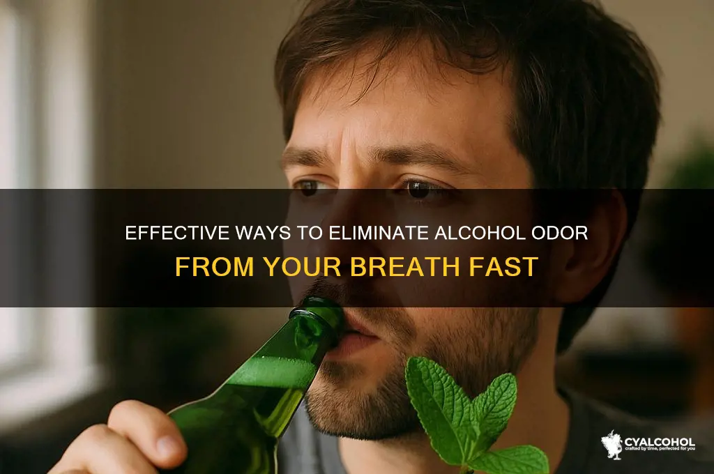 what removes alcohol from your breath