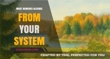 Effective Ways to Detox and Eliminate Alcohol from Your Body