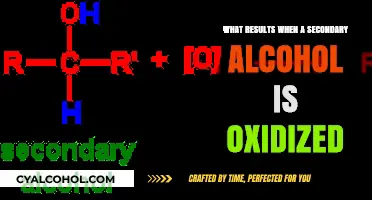 Oxidation of Secondary Alcohols: Products, Reactions, and Mechanisms Explained