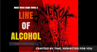 Rock Bands Brewing Success: Alcohol Brands Owned by Music Icons