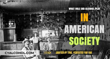 Alcohol's Influence: Shaping American Culture, History, and Social Norms