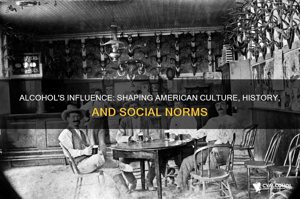 what role did alcohol play in american society