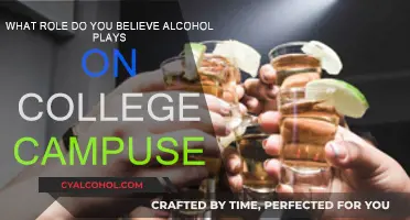 Alcohol's Impact on College Life: A Complex Relationship