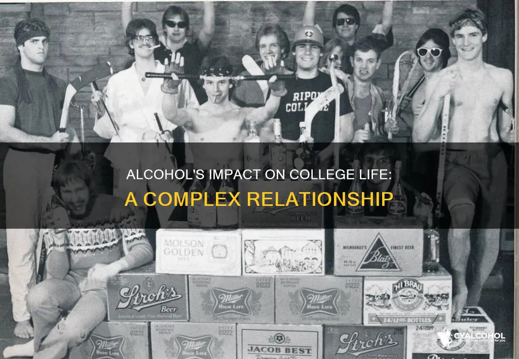 what role do you believe alcohol plays on college campuses