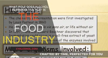 Alcohol Fermentation: Food Industry's Secret Weapon