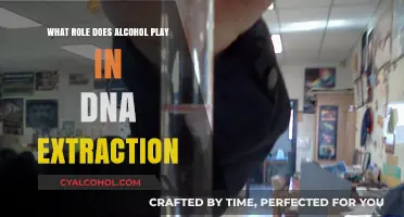 Alcohol's Crucial Role in Efficient DNA Extraction Techniques Explained
