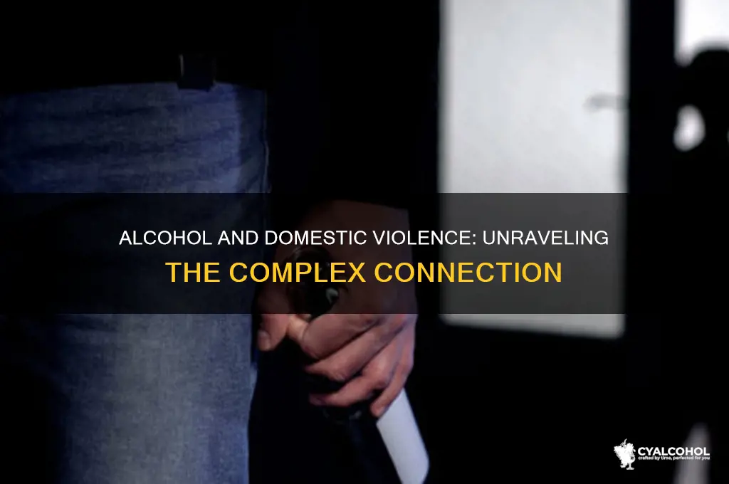 what role does alcohol play in domestic violence