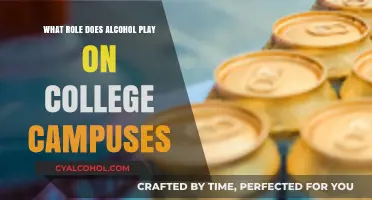 Alcohol's Impact: Shaping Social Life and Risks on College Campuses