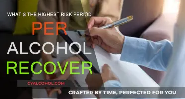 Alcohol Recovery: First Year, Highest Risk