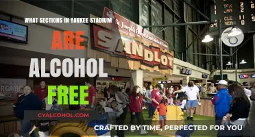 Alcohol-Free Zones: Exploring Yankee Stadium's Family-Friendly Sections