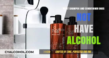 Alcohol-Free Hair Care: Top Shampoos and Conditioners to Try
