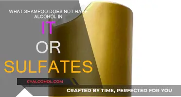 Alcohol and Sulfate-Free Shampoo Options