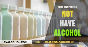 Alcohol-Free Shampoo Guide: Top Picks for Healthy, Hydrated Hair