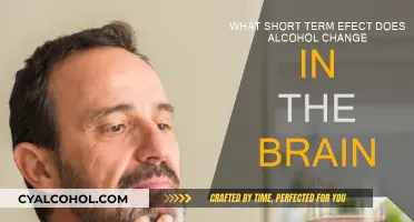 Alcohol's Short-Term Brain Effects: Understanding the Science
