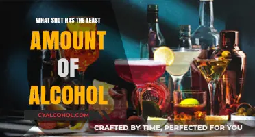 Lightest Alcoholic Drinks: Discover the Weakest Shots to Order