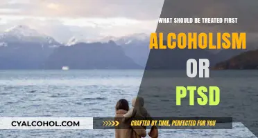 Treating Co-Occurring Disorders: Prioritizing Alcoholism or PTSD Recovery First
