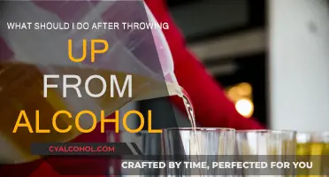 Alcohol-Induced Vomiting: Next Steps and Recovery