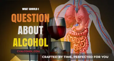 Questioning Alcohol: Key Concerns to Consider for Health and Awareness