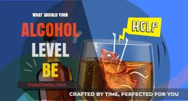 Understanding Safe Alcohol Levels: A Guide to Responsible Consumption