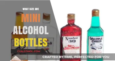 Mini Alcohol Bottles: Understanding Their Standard Sizes and Uses