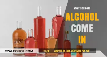 Exploring Alcohol Bottle Sizes: From Miniatures to Large Formats