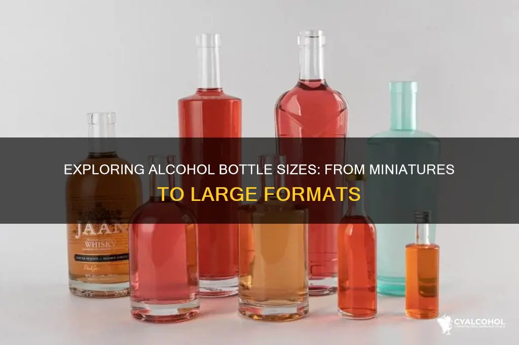 what size does alcohol come in
