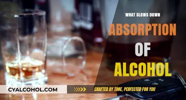 Factors That Slow Alcohol Absorption: Understanding the Science Behind It