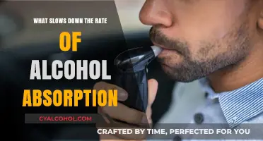 Factors That Slow Alcohol Absorption: Understanding the Science Behind It