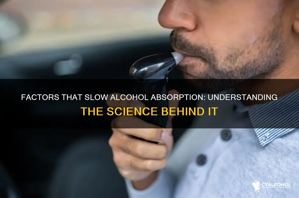 what slows down the rate of alcohol absorption
