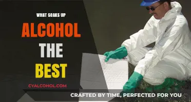 Top Absorbent Materials for Quickly Soaking Up Alcohol Spills