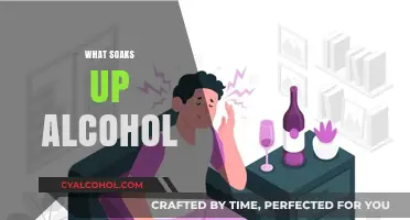 Effective Ways to Absorb Alcohol Quickly and Safely at Home