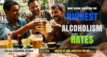 Social Class and Alcoholism: Which Group Faces the Highest Risk?