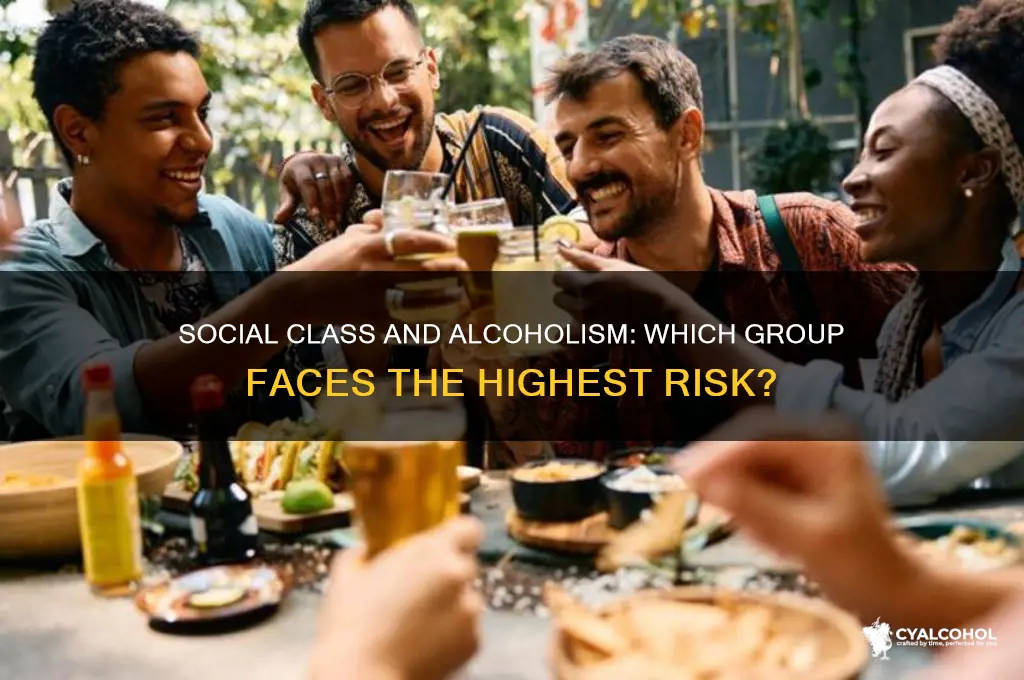 what social class has the highest alcoholism rates