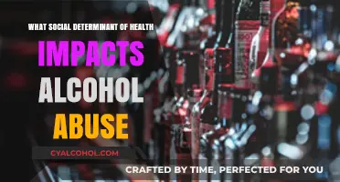 Social Determinants Unveiled: How Socioeconomic Factors Fuel Alcohol Abuse