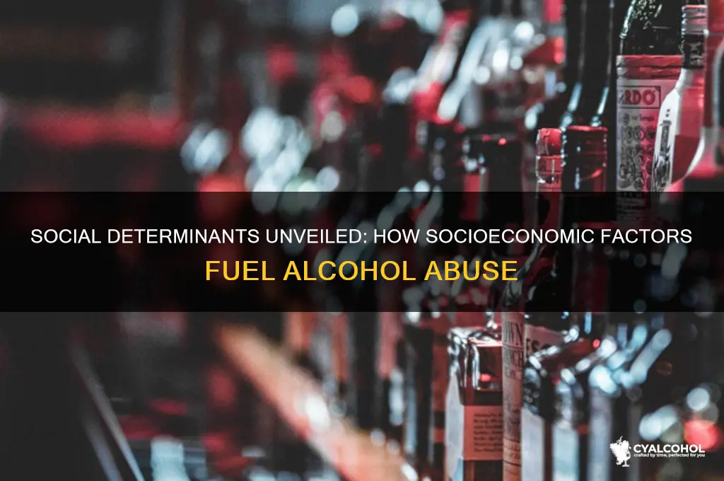 what social determinant of health impacts alcohol abuse