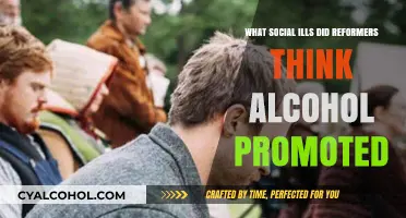 Alcohol's Dark Legacy: Reformers' Battle Against Social Ills