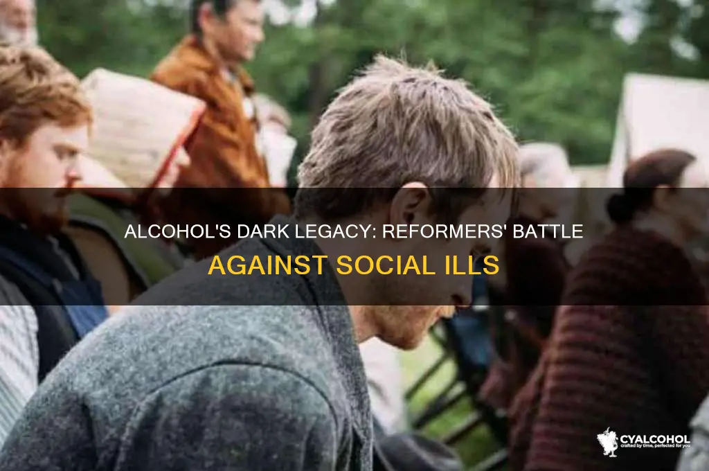 what social ills did reformers think alcohol promoted