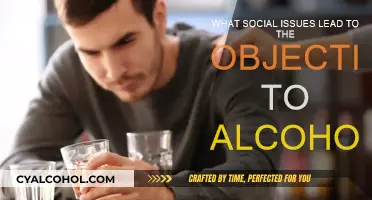 Social Ills and Alcohol Objections