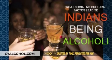Alcoholism in India: Social and Cultural Factors
