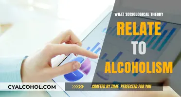 Sociological Perspectives on Alcoholism: Theories Explaining Addiction and Behavior