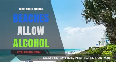 South Florida Beaches Where Alcohol is Allowed: A Complete Guide