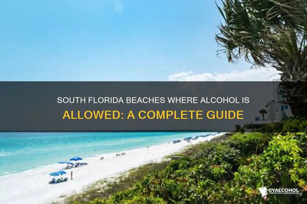 what south florida beaches allow alcohol