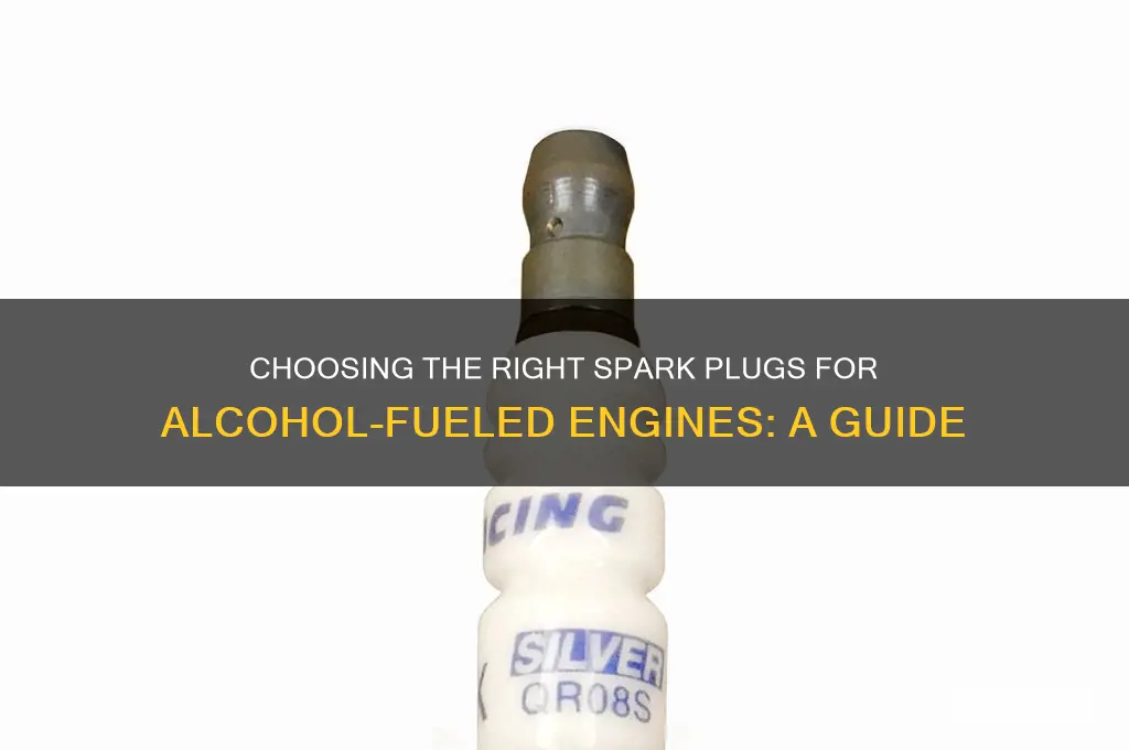 what spark plugs do i need for alcohol