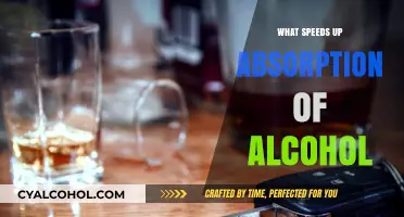 Factors That Accelerate Alcohol Absorption: What You Need to Know